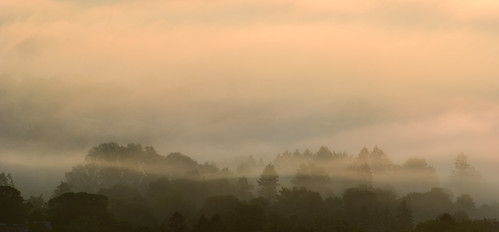 przemyśl morning fog sunrise
