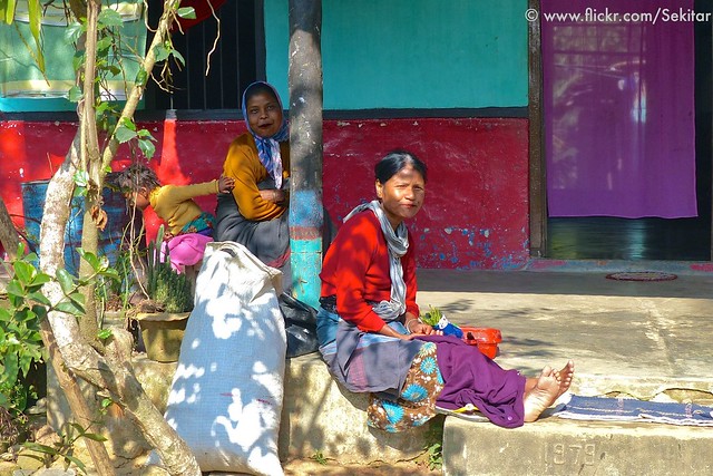 Lawachara Punji, Kashi village, Lawachara National Park Srimongol, Bangladesh
