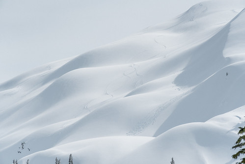 Mt. Baker Backcountry Snowshoeing-21 | by _futurelandscapes_
