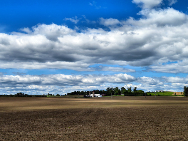 Farm, Northumberland County, Ontario