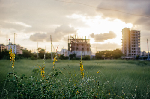 cloud sun flower green nature grass landscape evening view dhaka bangladesh banasree eveninglight dhakadivision aftabnagar sheikhshahriarahmed