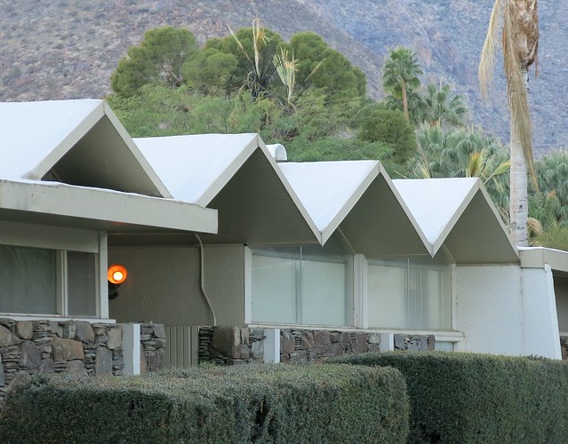 Palm Springs Roofline