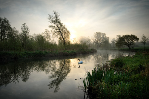 sunrise river swan nikon chelmer d7000