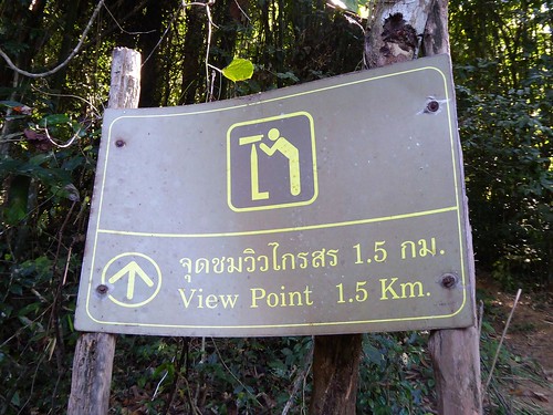 trees sign forest thailand seasia outdoor jungle viewpoint information cheowlanlake panasoniclumix khaosoknp