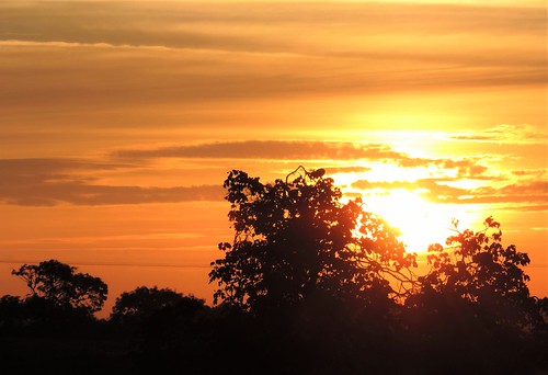 Sunrise this morning by Donnchadh H, Just taken from my upstairs window.window sunrise morning summer melton countryside leicestershire t