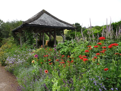 RHS Harlow Carr perennials in the Jekyll garden | by Kniphofia