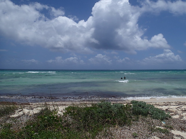caribbean-sea-in-playa-santa-lucia_14826461365_o