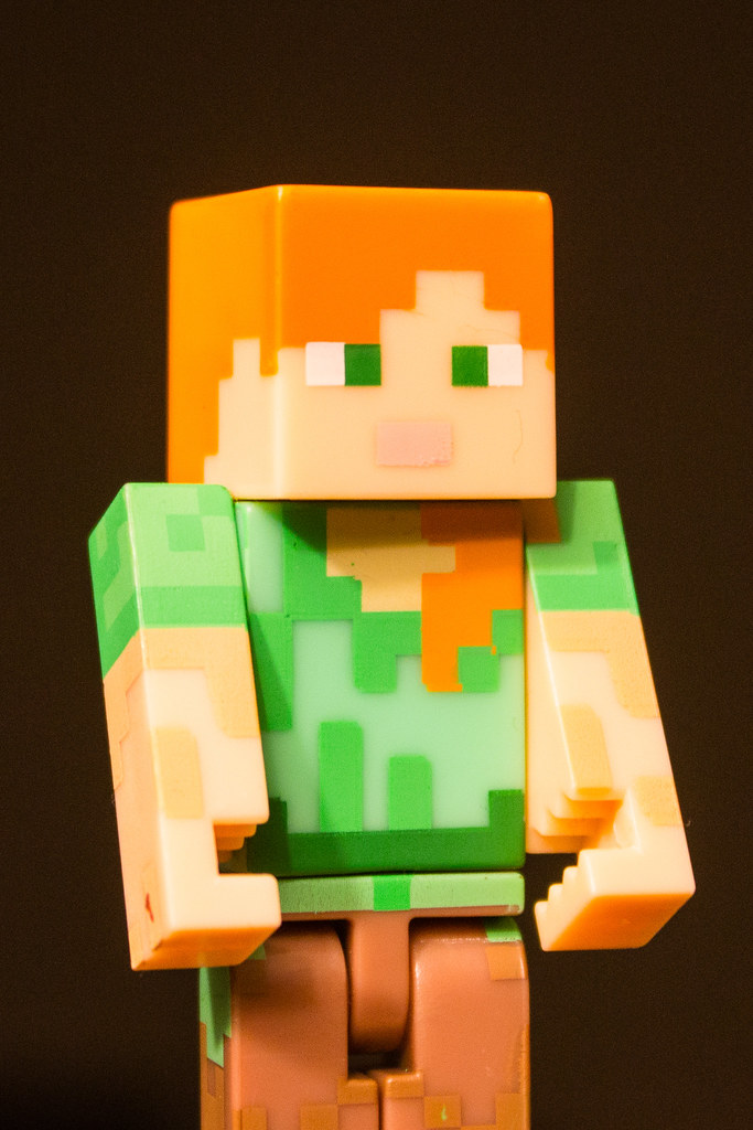 50365 19 February Minecraft The Female Minecraft Figur Flickr 