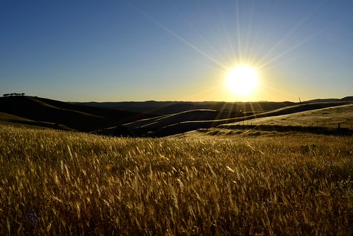 Campos de Andalucía II. by lostobillosdeatalanta, Carretera de La Carolina a El Centenillo (Jaén)sunset atardecer andalucía cereal carolina centenillo