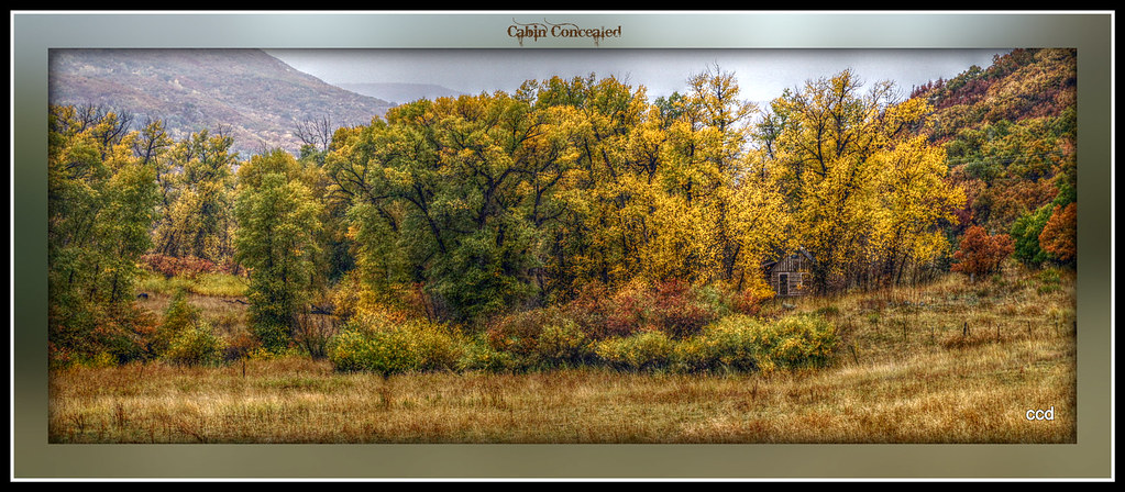 Cabin near Collbran, Colorado consumed by color (HDR) | Flickr
