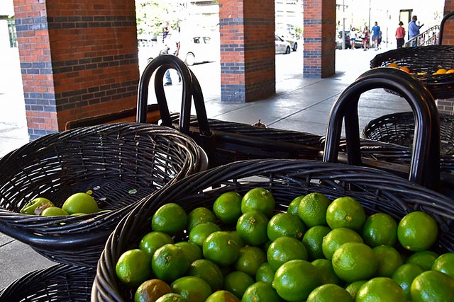Limes at the Station