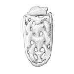Early medieval brooch by James Cope