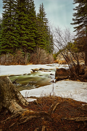 longexposure trees snow water pine bulb creek river landscape colorado rocks stream unitedstates bailey stump flowing tiltshift southplatte northforksouthplatteriver canontse24mmf35lii