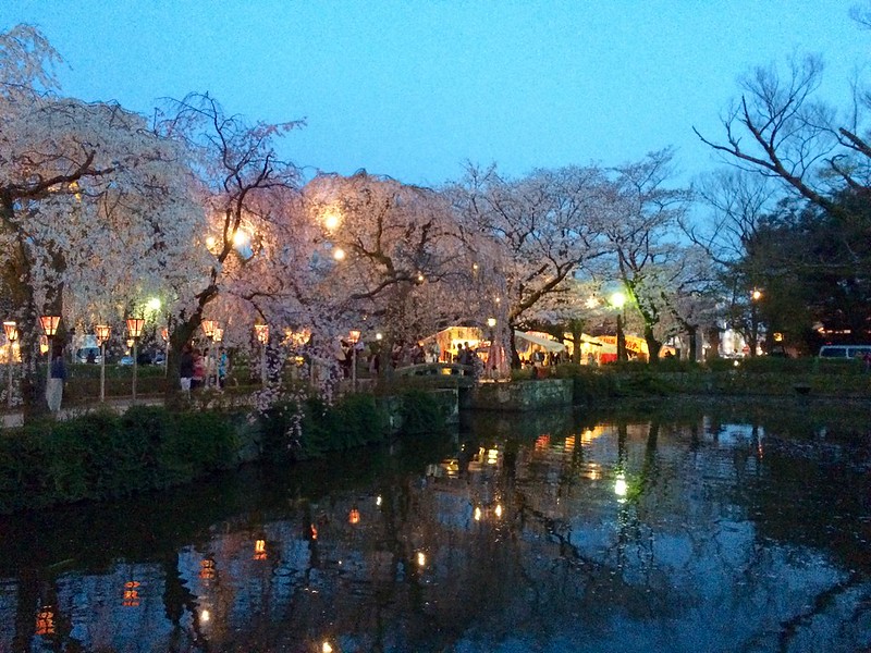 テスト投稿  桜8分咲 勢いがあってよかった。また来年も来たい。(2015/03/31)