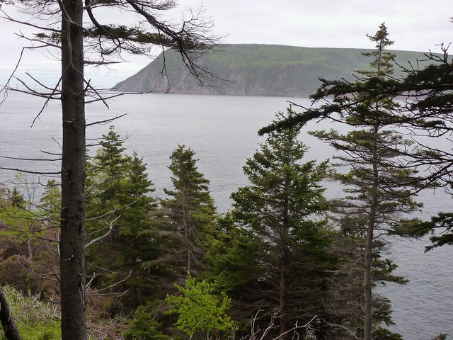Middle  Head trail Cape Breton Highlands National Park Ingonish Nova Scotia