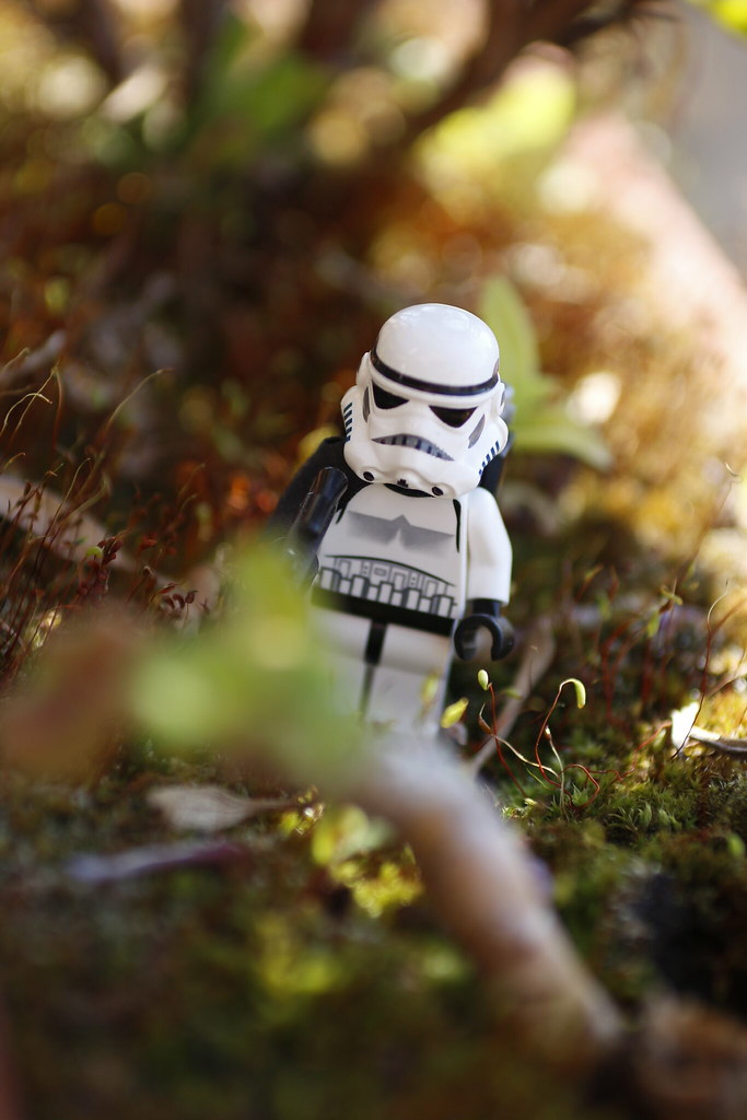 Stormtrooper | Jonathan Becerra | Flickr
