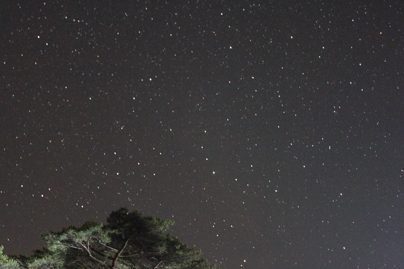 高千穂河原の星空