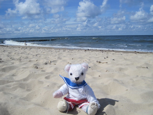 Teddychen ist allein am Strand, nur eine Möwe ist noch zu sehen