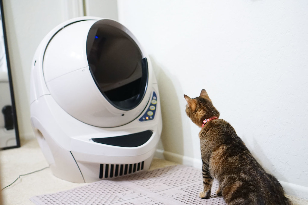 Cat Looking At The Litter Robot Iii Mechanism With A Rotat Flickr