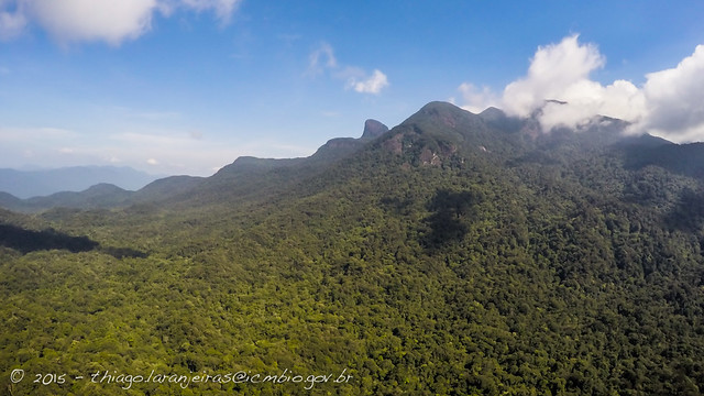 Uma última ilha perdida no céu da Amazônia