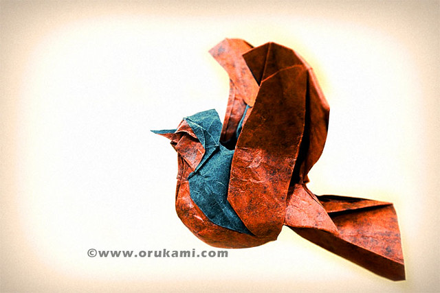 Fabian Correa Gomez Origami Robin