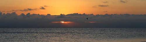 ocean blue sunset sea sky water landscape island pacific horizon australia panoramic queensland townsville seascapde