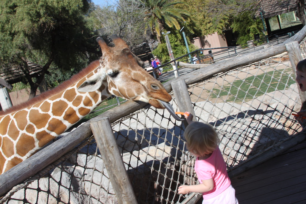 Zoo Trip | Jeffry and Kerri Gardner | Flickr