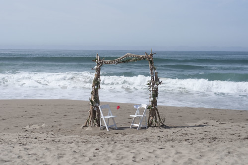 ocean california wedding summer beach sand nikon pacific romantic watsonville thepacificocean shorebirds nikond90 walsonville
