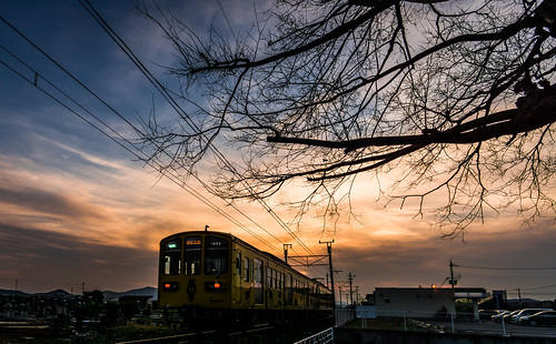 street blue sunset tree yellow train hdr 風景