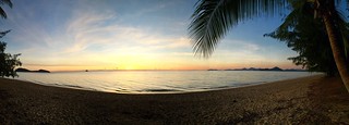 Good Morning Palm Cove