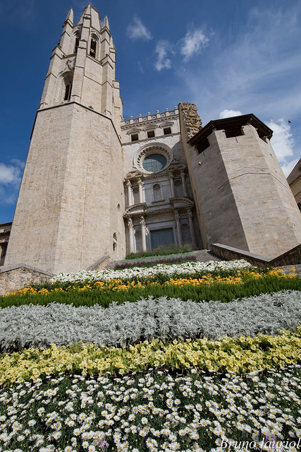 Girona en Fleur - Décoration Basilica de San Feliu - Girona Catalunya Espagne