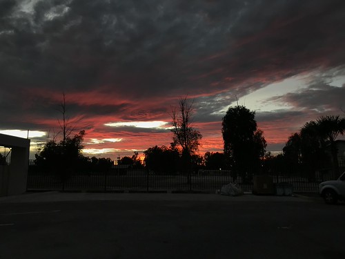 IMG_1282 by essekermariana,