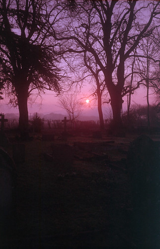 uk morning pink trees england film cemetery graveyard sunrise 35mm dawn soft olympus hampshire graves fujifilm 135 hursley trip35 c41 tetenal fujicolorc200 olympusdzuiko40mm128 filmdev:recipe=9954