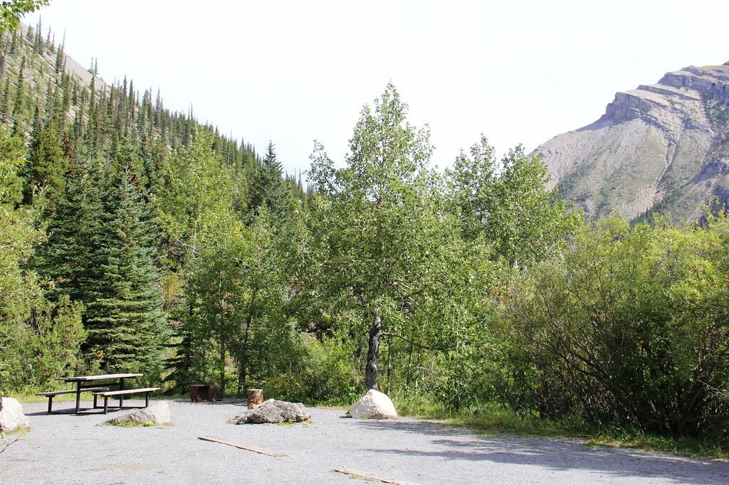 Whitehorse Creek PRA