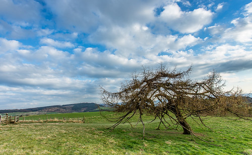 sky cloud tree field grass canon landscape exposure cleveland filters greatayton northyorkshire roseberrytopping lee09gnd canon6d hawkdog