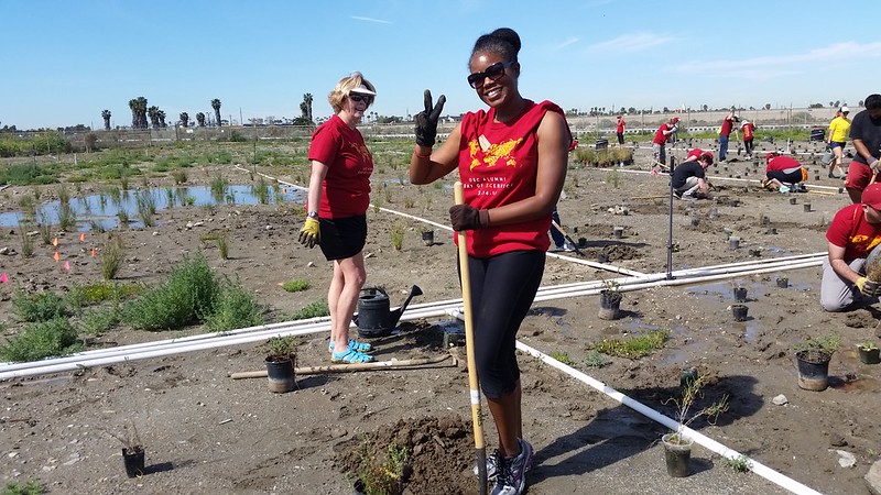 volunteers work on a garden