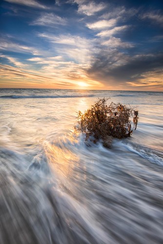 Tumbleweed by brendonplug, My first outing with the d810. I've been blown away with the colors and resolution so far, can't wai