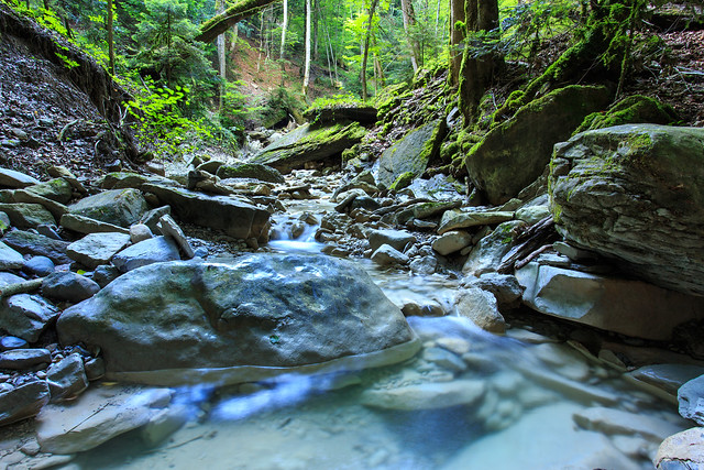 Refreshing water in the ravine