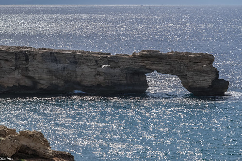 sea silver rocks afternoon seagull cliffs greece crete heraklio siminis