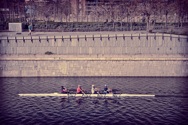 Rowers on the Manzanares