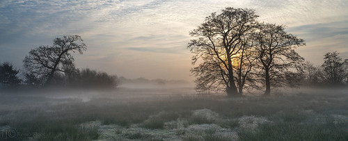 mist nature netherlands fog sunrise landscape ruitenaa sonya7r remosloof carlzeiss2470mmf4
