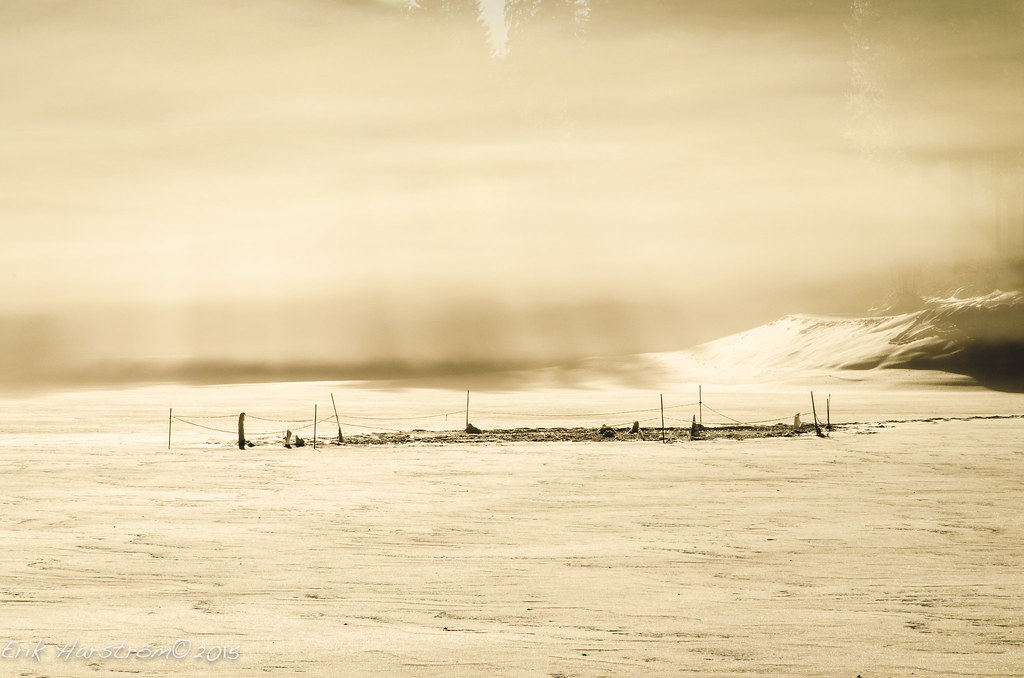erikharstrom-Winter©2015-0116