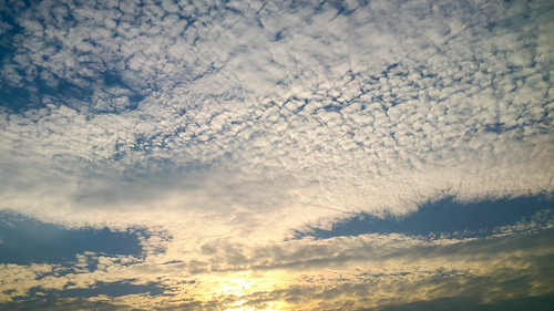 blue sky naturaleza nature clouds landscape sheep paisaje cielo nubes