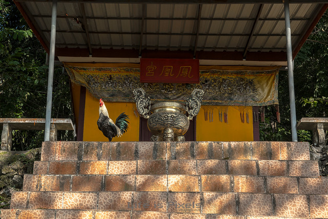 A Chinese Shrine