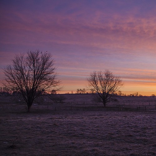 Nice layer of frost this morning reflecting the pinks and purples in the sky Just a few moments ago #ExplorARS #lancastergram #lancastercounty #discoverlancaster #sunrise #ig_sunrisesunset #sunrise_an by sethdochter, square squareformat iphoneography instagramapp uploaded:by=instagram