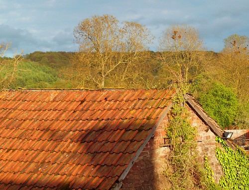 trees england birds evening spring rooftops britain branches barns ivy tiles april goldenvalley farms herefordshire stonewalls valleys nests rooves rooftiles abbeydore stonebuildings sandstonebuildings welshborders sunandcloud