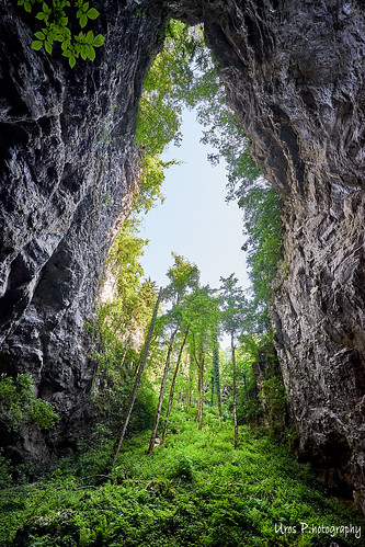 awesome amazing beautiful breathtaking color excellent fantastic hiking incredible nice perfect stunning superb trip adventure unique view unforgettable extraordinary exceptional brilliant glorious striking aweinspiring stupendous urosphotography moody shadows travel tourism memorable remarkable tour journey light time passing sony a7ii mm 1635 fullframe nature sunset sky cloud forest tree path rakov skocjan karst kras slovenija slovenia cave collapsed