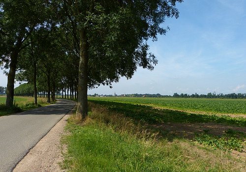 1280763 panasonicdmcfz150 landschap landscape landschaft paysage weg road gelderland nederland netherlands holland
