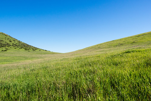 california blue sky green grass landscape spring weed sandiego hiking canyon hills slope em1 hollenbeck eastcounty mzuiko1240mmf28pro