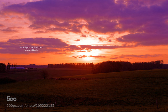 Country and sunset / Campagne et coucher